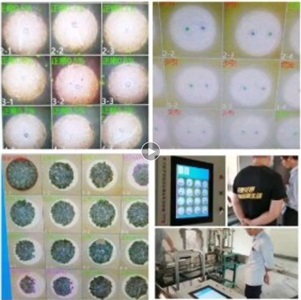 機器視覺(jué)自動(dòng)檢測煙花質(zhì)量   聲光停機三重報警安全隱患
