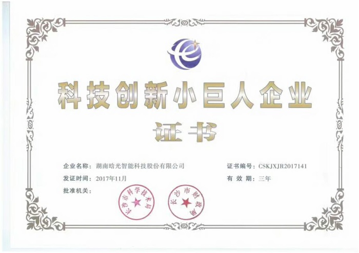 科技創(chuàng  )新小巨人證書(shū)